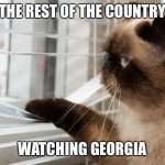 Watching Georgia | THE REST OF THE COUNTRY; WATCHING GEORGIA | image tagged in cat looking out window | made w/ Imgflip meme maker