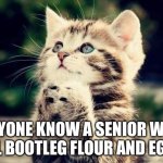 Grocery shopping in April 2020 | ANYONE KNOW A SENIOR WHO WILL BOOTLEG FLOUR AND EGGS? | image tagged in covid-19,pandemic,baking | made w/ Imgflip meme maker