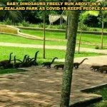 Dinosaurs | BABY DINOSAURS FREELY RUN ABOUT IN A NEW ZEALAND PARK AS COVID-19 KEEPS PEOPLE AWAY | image tagged in dinosaurs | made w/ Imgflip meme maker