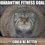 Fitness Goals | QUARANTINE FITNESS GOALS; . . . COULD BE BETTER | image tagged in fat cats exercise,fat,fitness,quarantine,covid-19 | made w/ Imgflip meme maker