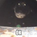 ok | OK | image tagged in sneaky alligator | made w/ Imgflip meme maker