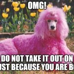 Poodle | OMG! DO NOT TAKE IT OUT ON ME JUST BECAUSE YOU ARE BORED | image tagged in poodle | made w/ Imgflip meme maker