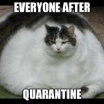 it true | EVERYONE AFTER; QUARANTINE | image tagged in fat cat | made w/ Imgflip meme maker
