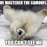 Camouflage | I HAVE MASTERED THE CAMOUFLAGE; YOU CAN'T SEE ME | image tagged in you can't see me | made w/ Imgflip meme maker