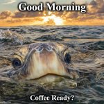 morning | Good Morning; Coffee Ready? | image tagged in morning | made w/ Imgflip meme maker