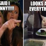 you said i was funny!!!! | LOOKS AREN'T EVERYTHING!!!! YOU SAID I WAS FUNNY!!!!! | image tagged in crying woman vs cat | made w/ Imgflip meme maker