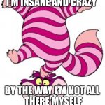 Chesire cat | I’M INSANE AND CRAZY; BY THE WAY I’M NOT ALL
 THERE MYSELF | image tagged in chesire cat | made w/ Imgflip meme maker