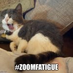 Zoom fatigue | #ZOOMFATIGUE | image tagged in abby | made w/ Imgflip meme maker