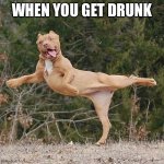 Pitbull Beer Cheer | WHEN YOU GET DRUNK | image tagged in pitbull beer cheer | made w/ Imgflip meme maker