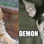 Puppy evil dog | DEMON; NORMAL | image tagged in puppy evil dog | made w/ Imgflip meme maker