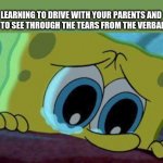 crying spongebob | LEARNING TO DRIVE WITH YOUR PARENTS AND TRYING TO SEE THROUGH THE TEARS FROM THE VERBAL ABUSE | image tagged in crying spongebob | made w/ Imgflip meme maker