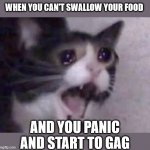 Cat Cry | WHEN YOU CAN'T SWALLOW YOUR FOOD; AND YOU PANIC AND START TO GAG | image tagged in cat cry | made w/ Imgflip meme maker