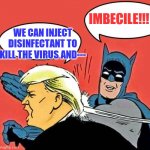 Batman Slapping Trump | IMBECILE!!! WE CAN INJECT DISINFECTANT TO KILL THE VIRUS AND--- | image tagged in batman slapping trump | made w/ Imgflip meme maker