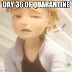 when its Monday | DAY 36 OF QUARANTINE | image tagged in when its monday,coronavirus,quarantine,so bored,so true memes,funny memes | made w/ Imgflip meme maker