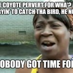 Ain't Nobody Got Time For That Meme | WILE E COYOTE PERVERT FOR WHA'? ALL HE DOES IS TRYIN' TO CATCH THA BIRD, HE NO PERVERT. AIN'T NOBODY GOT TIME FOR THAT! | image tagged in memes,ain't nobody got time for that | made w/ Imgflip meme maker