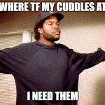 Ice Cube cuddle | WHERE TF MY CUDDLES AT; I NEED THEM | image tagged in ice cube cuddle | made w/ Imgflip meme maker