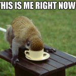 Monkey Coffee | THIS IS ME RIGHT NOW ! | image tagged in monkey coffee | made w/ Imgflip meme maker