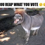 You Reap What You Vote