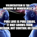 consciousness | VOLUNTARYISM IS THE AWAKING OF MINDFULNESS; PURE LOVE IS PURE CHAOS. IT ONLY GROWS FROM FREEDOM, NOT CONTROL OR FORCE. | image tagged in connecting minds | made w/ Imgflip meme maker