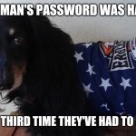 Funny Dog | MY HUMAN'S PASSWORD WAS HACKED; THAT'S THE THIRD TIME THEY'VE HAD TO RENAME ME | image tagged in cute dog,dog,funny,meme,humor,computer | made w/ Imgflip meme maker