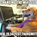 dog computer | ME CHANGING THE WiFi SSID TO; "COVID-19 5G TEST TRANSMITTER" | image tagged in dog computer | made w/ Imgflip meme maker