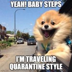 Baby Quarantine | YEAH! BABY STEPS; I'M TRAVELING QUARANTINE STYLE | image tagged in traveling dog,travel,freedom,quarantine | made w/ Imgflip meme maker