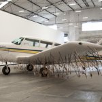 tribe airplane