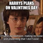 Harry Potter | HARRYS PLANS ON VALINTINES DAY | image tagged in harry potter | made w/ Imgflip meme maker