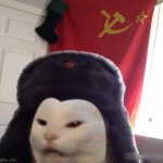 RUSSIAN CAT meme