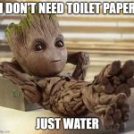 Baby Groot | I DON'T NEED TOILET PAPER; JUST WATER | image tagged in baby groot | made w/ Imgflip meme maker