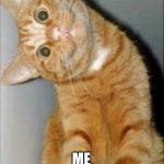 A Meme That is not funny | SEES A FUNNY MEME; ME | image tagged in creepy smiling cat | made w/ Imgflip meme maker