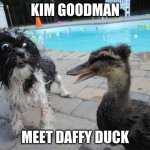 Dog Freaking Out | KIM GOODMAN; MEET DAFFY DUCK | image tagged in dog freaking out | made w/ Imgflip meme maker