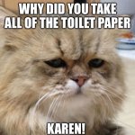 Why Karen | WHY DID YOU TAKE ALL OF THE TOILET PAPER; KAREN! | image tagged in disappointed cat,covid-19,toilet paper,karen | made w/ Imgflip meme maker