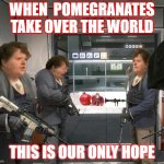 No Pomegranates
