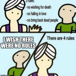3 wishes | I WISH THERE WERE NO RULES | image tagged in 3 wishes | made w/ Imgflip meme maker