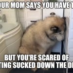 There's a clown down there... | WHEN YOUR MOM SAYS YOU HAVE TO BATHE; BUT YOU'RE SCARED OF GETTING SUCKED DOWN THE DRAIN | image tagged in phil doesn't want a bath | made w/ Imgflip meme maker