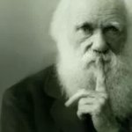 Darwin Shh