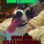 Dog with long tounge | OOOH A SQUIRREL; NEVER MIND, IT'S A STUFFED ANIMAL | image tagged in dog with long tounge | made w/ Imgflip meme maker