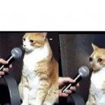Crying Cat Interview Horizontal meme