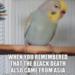 Sceptical Budgie | WHEN YOU REMEMBERED THAT THE BLACK DEATH ALSO CAME FROM ASIA
AND THE MONGOLS SPREAD IT | image tagged in sceptical budgie,history | made w/ Imgflip meme maker