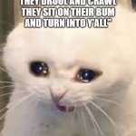Crying Cat | "BABIES ARE DUMB

THEY DROOL AND CRAWL

THEY SIT ON THEIR BUM

AND TURN INTO Y'ALL"; TEACHERS: | image tagged in crying cat | made w/ Imgflip meme maker