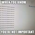 You're not important! | WHEN YOU KNOW        ˅; YOU'RE NOT IMPORTANT | image tagged in rotating hourglass | made w/ Imgflip meme maker