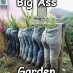 garden | Big Ass; Garden | image tagged in garden | made w/ Imgflip meme maker