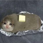 Baked potato cat meme