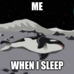 dead orca | ME; WHEN I SLEEP | image tagged in dead orca | made w/ Imgflip meme maker