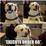 Sad News Doggo | *EXECUTE ORDER 66* | image tagged in sad news doggo | made w/ Imgflip meme maker