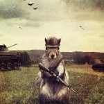 Soldier squirrel meme