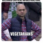 Meat processors declared critical infrastructure. Vegetarians. | MEAT PROCESSING PLANTS ARE DECLARED CRITICAL INFRASTRUCTURE. VEGETARIANS | image tagged in dissatisfied pak fan | made w/ Imgflip meme maker