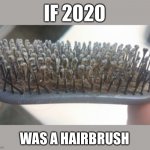 If 2020 was a hairbrush | IF 2020; WAS A HAIRBRUSH | image tagged in hairbrush,2020,coronavirus,quarantine,coronavirus meme,funny | made w/ Imgflip meme maker
