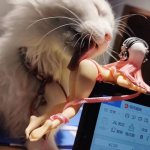 Pussy licker